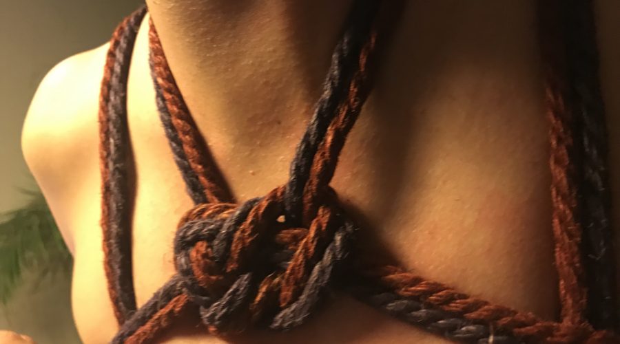 Cena/Shibari/