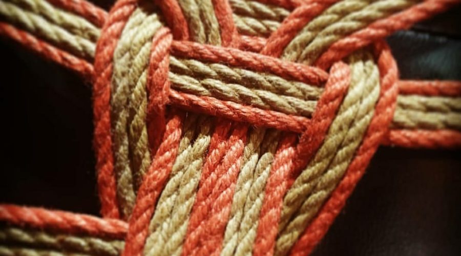 Shibari… ¿Qué nos impulsa al Shibari?